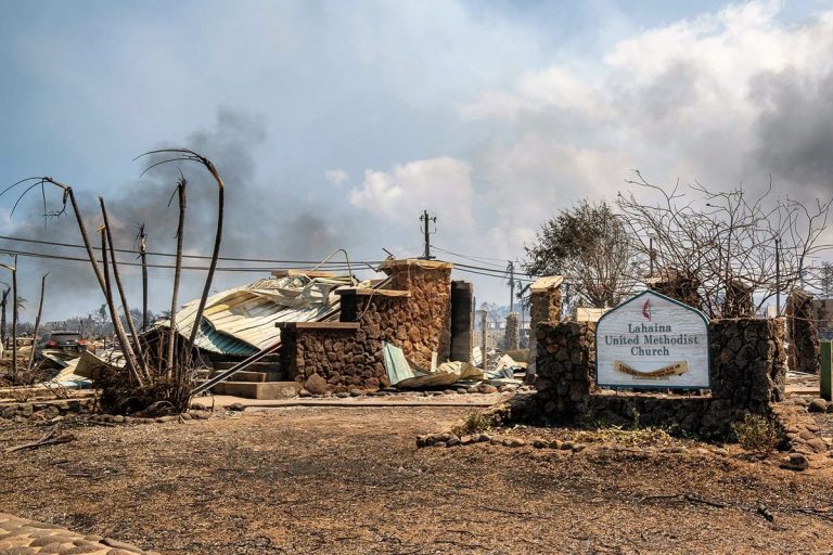 Special sanctuary lost in Maui fires