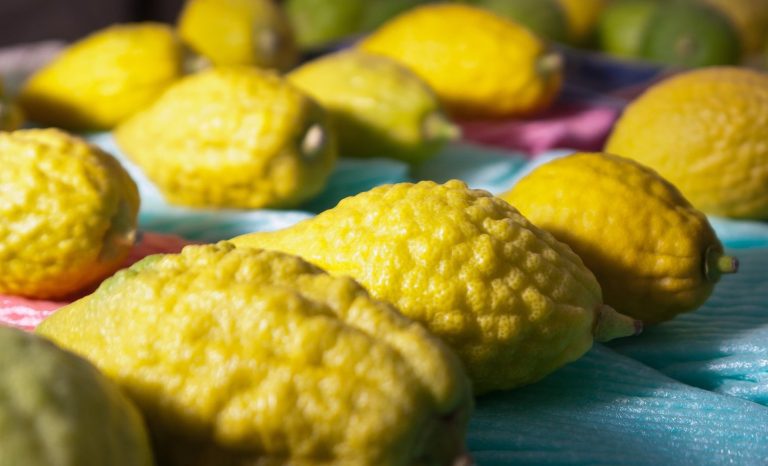 Inside Jerusalem’s Etrog Market In Time For Sukkot