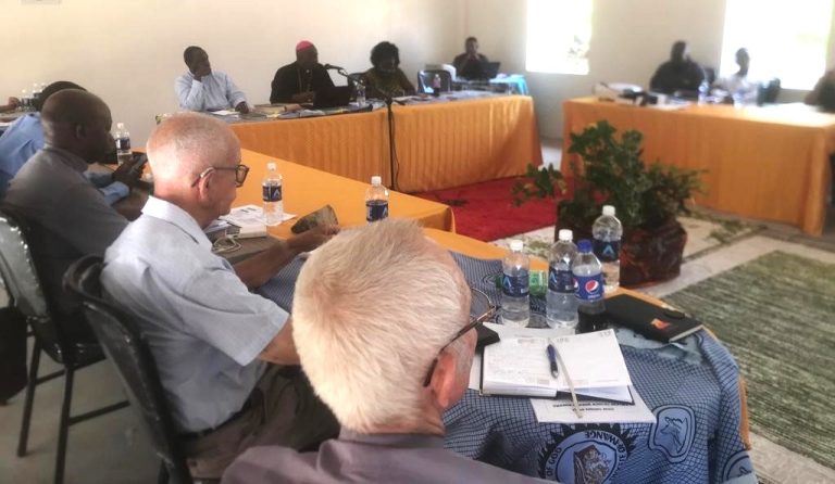 Hwange Diocese AGM destined to shape the local Church’s future – Catholic Church News